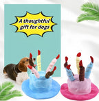 Cute Pet Party Hat for Dogs&Cats - Image 3