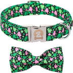 MR. CHUBBYFACE St.Patrick's Pink Green Clover Dog Collar by MrChubbyfacePetSupplies