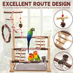 ‌Bird Playground, Natural Wooden Parrot Stand - Image 3