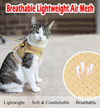 Cat Harnesses and Puppy Harness - Image 2
