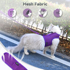 Cat Harness and Leash for Walking Escape Proof Breathable Mesh Fabric, Extra - Image 4