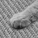 Gray Cat Scratching Mat Sisal, 2 Packs Sisal Fabric Large Cat Scratching Pad - Image 4