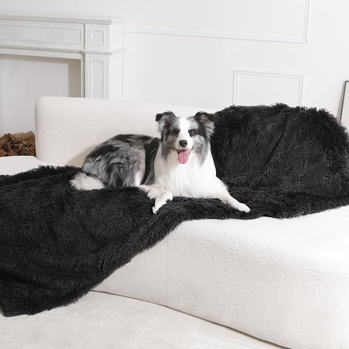 gogobunny Waterproof Dog Blanket by gogobunny