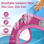 AIITLE Comfortable Dog Harness and Leash Set - Image 7