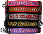 Pawtitas Personalized Cat Collar by Pawtitas