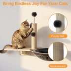 Cat Wall Shelves, Modern Wall-Mounted Cat Furniture Includes House, Perch & - Image 4