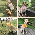 Summer Spring Dog Bandanas 2PCS, Premium Durable Fabric Dog Scarf Bid - Image 7