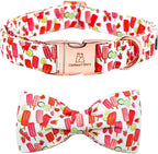 Lionheart glory Dog Collar, Dog Collar by LionheartGlory