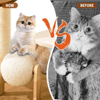 Modern Cat Tree for Indoor Cats, Wood Cat Tree - Image 6