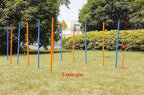 PAWISE Dog Agility Training Equipment, 12 Weave Poles - Image 7