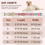 AirTag Dog Collar for Small Medium Large Breed - Image 4