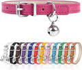 XXS Dog Collar for Teacup Adjustable Teacup Dog Collar for Small Medium Large by Engorgio