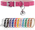 XS Dog Collar for Teacup Adjustable Teacup Dog Collar for Small Medium Large by Engorgio