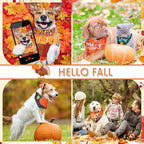 Sweetude 100 Pcs Fall Dog Bandanas Bulk Plaid Bandanas - Image 5