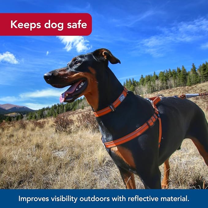 Coastal Pet K9 Explorer Reflective Adjustable Padded Dog Harness - Image 3