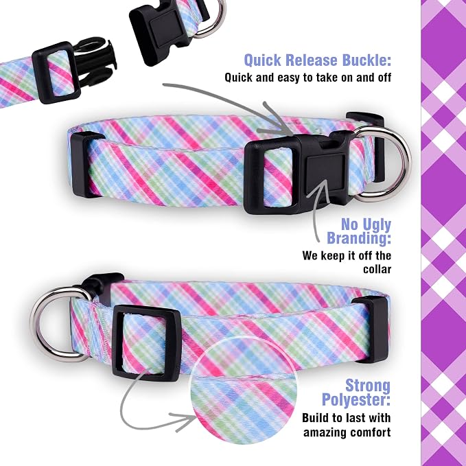 Native Pup Easter Dog Collar, Cute Spring Gift - Image 4