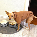 Jecikelon Winter Dog Hoodie Sweatshirts - Image 3