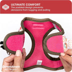 Downtown Pet Supply Step-in Dog Harness – No Pull, Adjustable Padded Mesh - Image 6