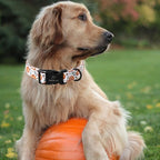 Fall Dog Collar, Cute Orange Pumpkin Pattern Puppy Collar, Soft Comfort - Image 2