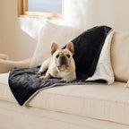 Bedsure Cat Blanket for Indoor Cats by BEDSURE