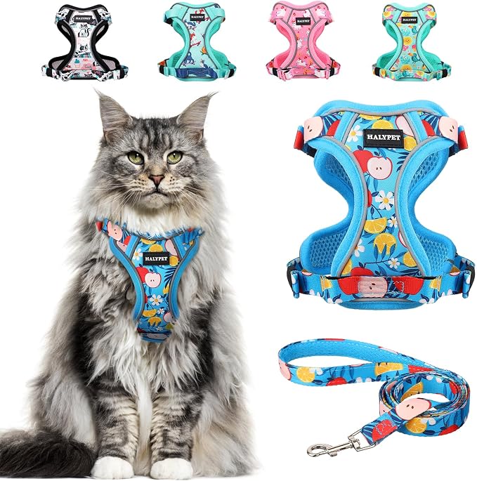 Halypet Cat Harness and Leash Set Cute Escape Proof Vest Harness by DOMoreWithYourPet