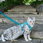 Cat Harness and Leash Escape Proof Large Kitten Harness Ragdoll Cat Vest - Image 8