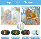 Jmxu's 3.5"-4" Cuttlebone for Birds Parakeets, Cuddle Bone - Image 4