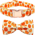 Dog Collars - Halloween Pumpkin Bowtie Dog Collar Gift Soft Bow Collar Pet by BoboRainbow