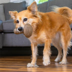 Outward Hound Dogwood Mushroom Durable Dog Chew Toy, Peanut Butter Scent - Image 8