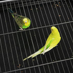 Topeakmart X-Large Parrot Cage Bird Cage - Image 7