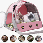 Bearded Dragon Carrier, Lizards Cage, Hamster Outdoor Used, Small Animal Travel - Image 3