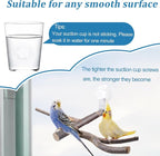 Bird Perch with Suction Cup Window Wall Bath Car Outdoor Travel Perch Stand - Image 6