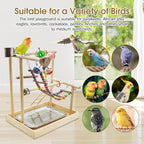 PINVNBY Bird Playground Parrot Playstand Play Gym Cockatiel Wood Bird Toys - Image 6
