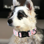 Christmas Dog Collar for Giant Large Dogs - Image 3