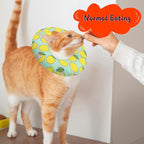 Cat Cone Collar Soft, Adjustable Cat Recovery Collars Kitten Cones to Stop - Image 4