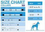 NFL Detroit Lions Dog & Cat Collar - Image 3