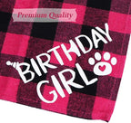 STMK Cat Birthday Party Supplies - Image 6