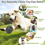 Interactive Squeaky Dog Balls, Dog Toys - Image 5