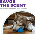 Outward Hound Gummiez Bear Dog Toy & Treat Stuffer, 4.7″ x 3″ Blue - Image 5