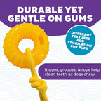 Outward Hound Gummiez Peach Ring 2-in-1 Dental Dog Chew Toy and Treat Stuffer - Image 3