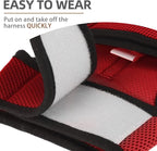 PUPTECK Soft Mesh Cat Vest Harness and Leash Set Puppy Padded Pet Harnesses - Image 5