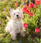 Lionheart glory Dog Collar Flowers Collar Floral Dog Collar - Image 5