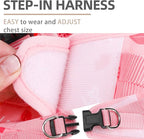 PUPTECK Adjustable Dog Harness Collar and Leash Set Step in No Pull Pet Harness - Image 3