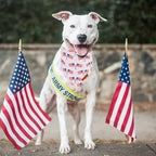 ADOGGYGO American Flag Dog Bandana 2 Pack, Reversible White Red USA Flag Pet - Image 3
