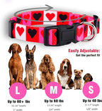 Native Pup Valentine’s Dog Collar- Valentines Day Pet Collars- Valentine Girly - Image 3