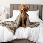 PetAmi Waterproof Dog Blanket for Small Medium Dog Puppy Cat Throw for Couch - Image 7