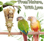 5-Pack Natural Flower Bird Toys – Foraging & Chewing Toys - Image 2