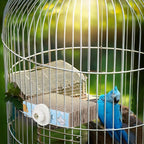 2 PCS Bird Chew Toy Parrot Cage Perch Cardboard Platform Bird Paw Grinding Stand - Image 6