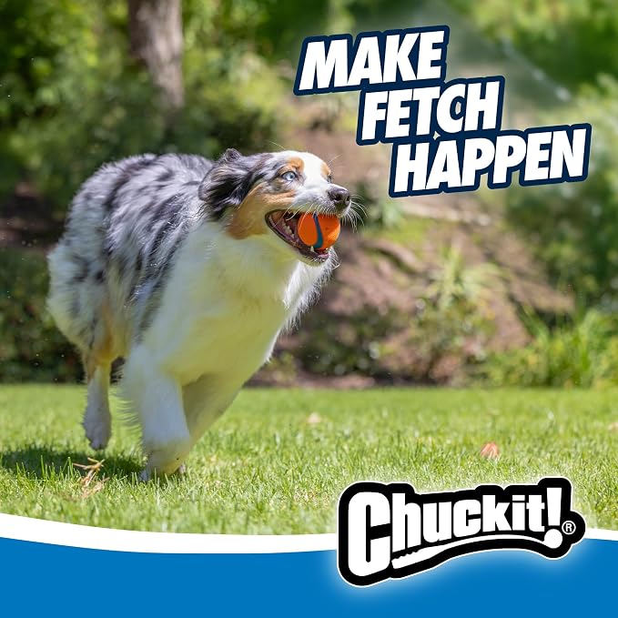 Chuckit! Ultra Ball Dog Toy - Image 8