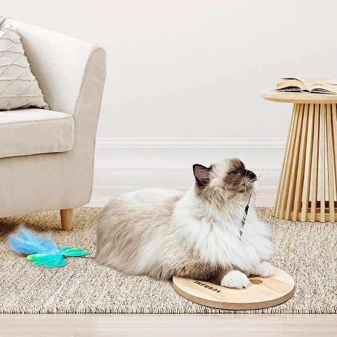 JXFUKAL Interactive cat Toy, Automatic Cat Wand Toy - Image 8